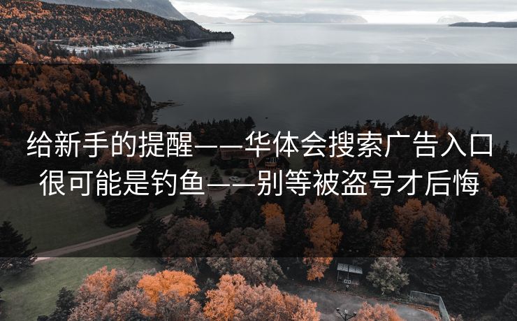 给新手的提醒——华体会搜索广告入口很可能是钓鱼——别等被盗号才后悔