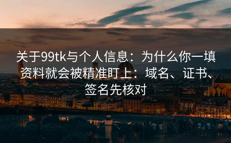 关于99tk与个人信息：为什么你一填资料就会被精准盯上：域名、证书、签名先核对